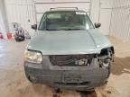 2006 Ford Escape xlt