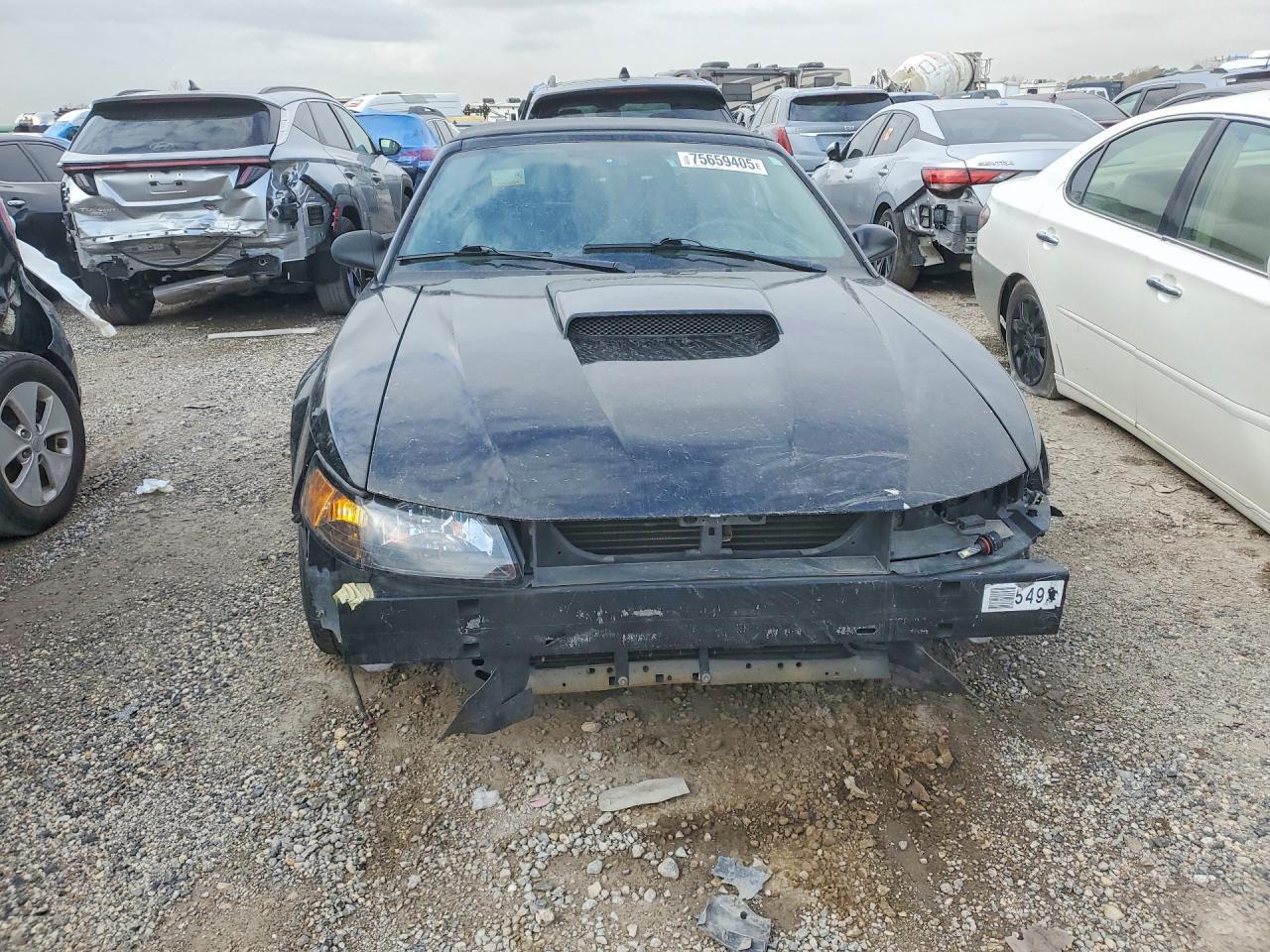 2004 Ford Mustang gt
