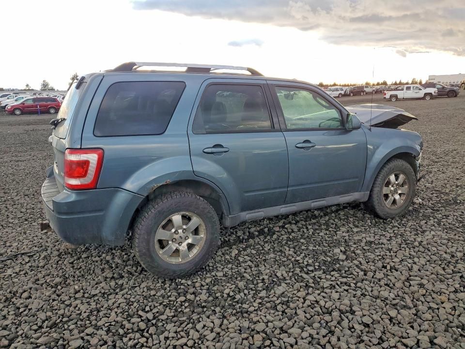 2011 Ford Escape Limited