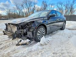 2025 Nissan Altima 2.5 sv for sale in New Britain, CT