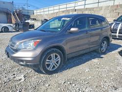 2010 Honda Cr-v exl for sale in Walton, KY