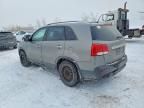 2011 KIA Sorento Base