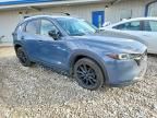 2024 Mazda Cx-5 Preferred