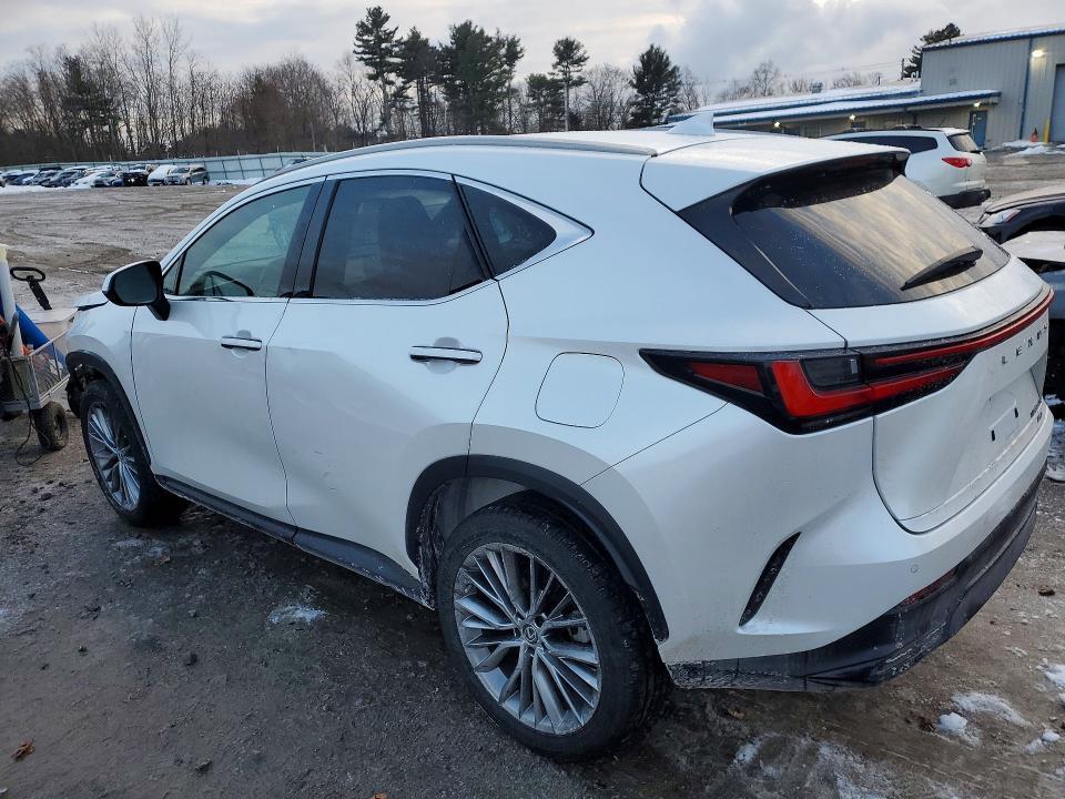 2023 Lexus Nx 350h