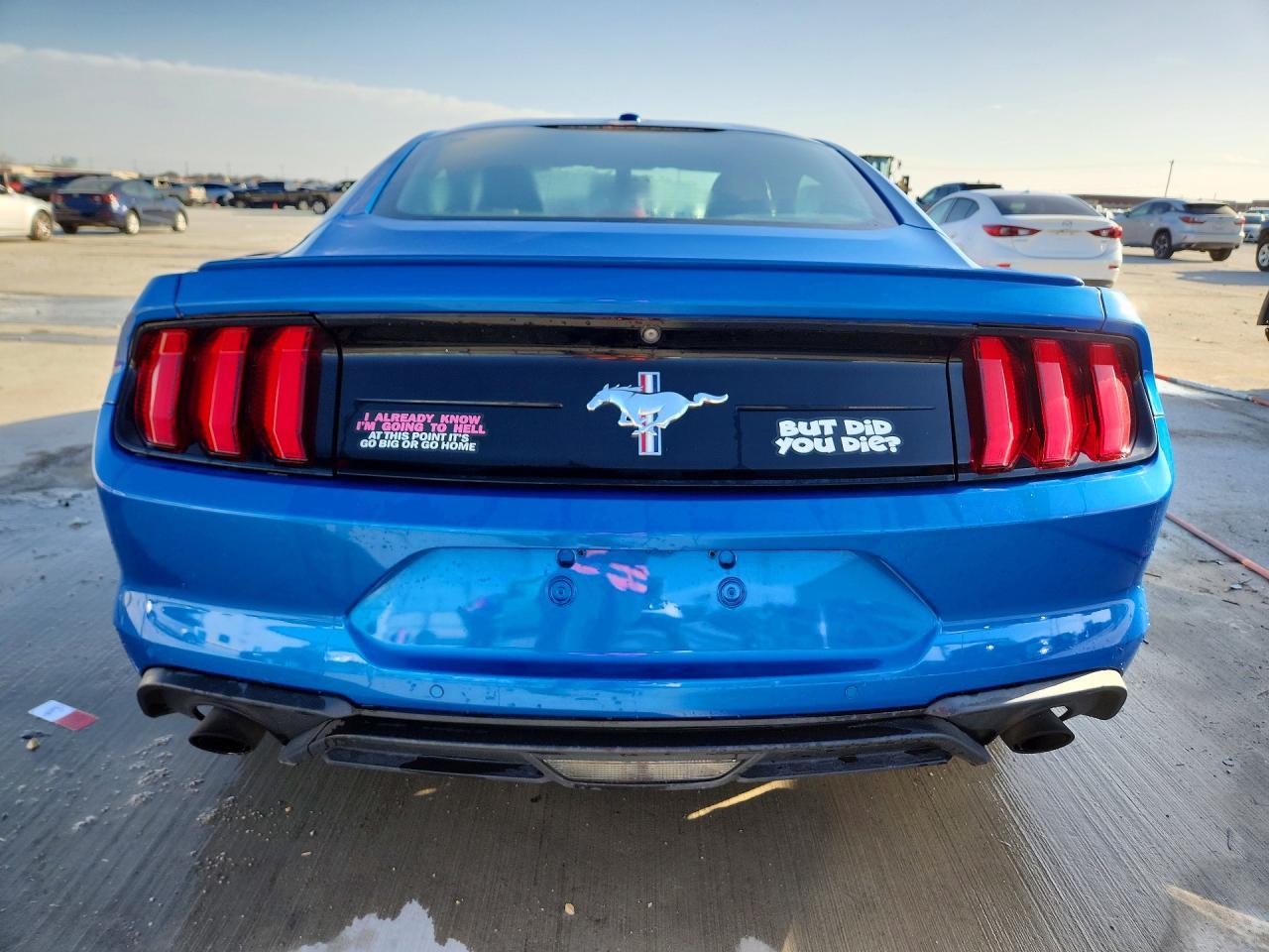 2019 Ford Mustang