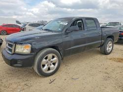 Salvage cars for sale from Copart San Antonio, TX: 2010 Dodge Dakota SXT