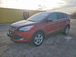 2015 Ford Escape se for sale in Indianapolis, IN