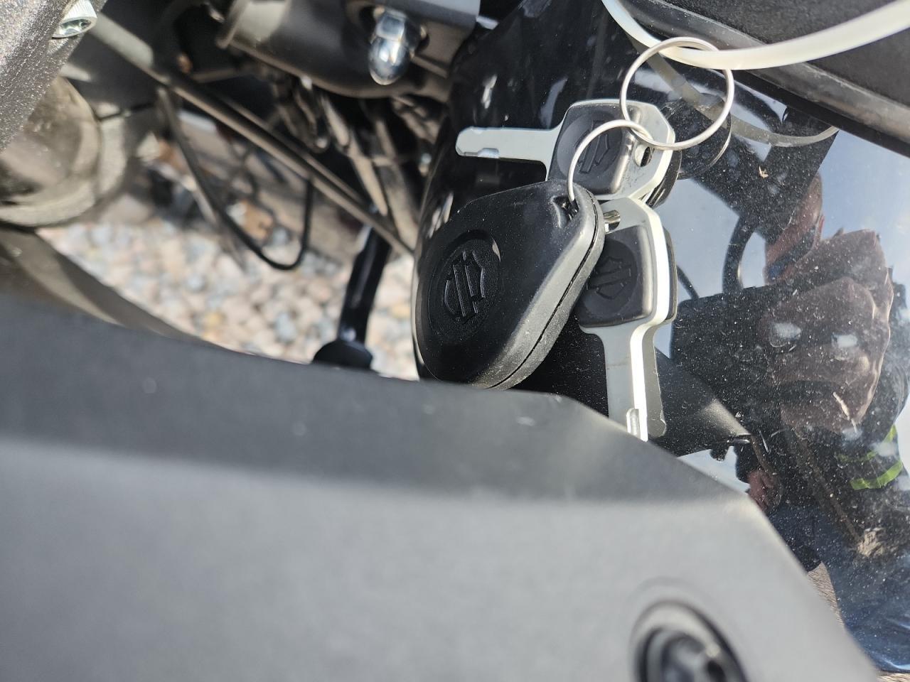 2024 Harley-Davidson Fxlrst