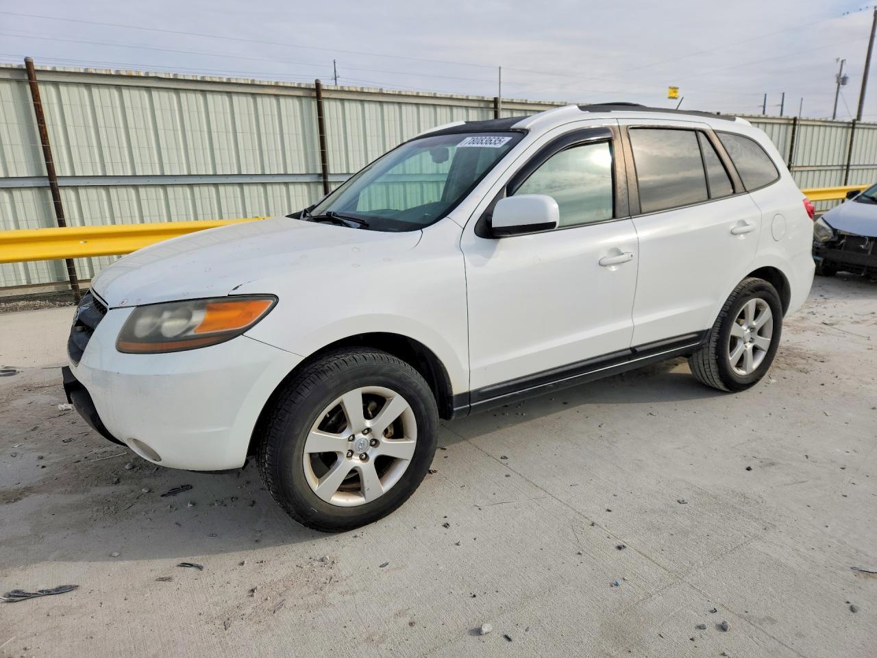 2007 Hyundai Santa fe se