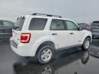 2008 Ford Escape hev