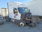2015 Freigliner Cascadia 125