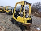 2019 Hyster Forklift