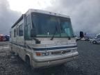 1998 Damon 1997 Ford Motors RV