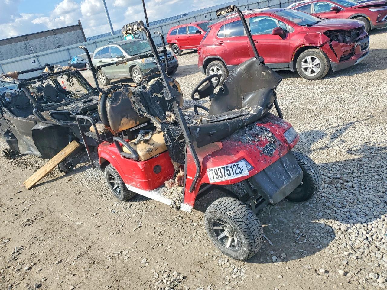 2019 Golf Cart Star EV