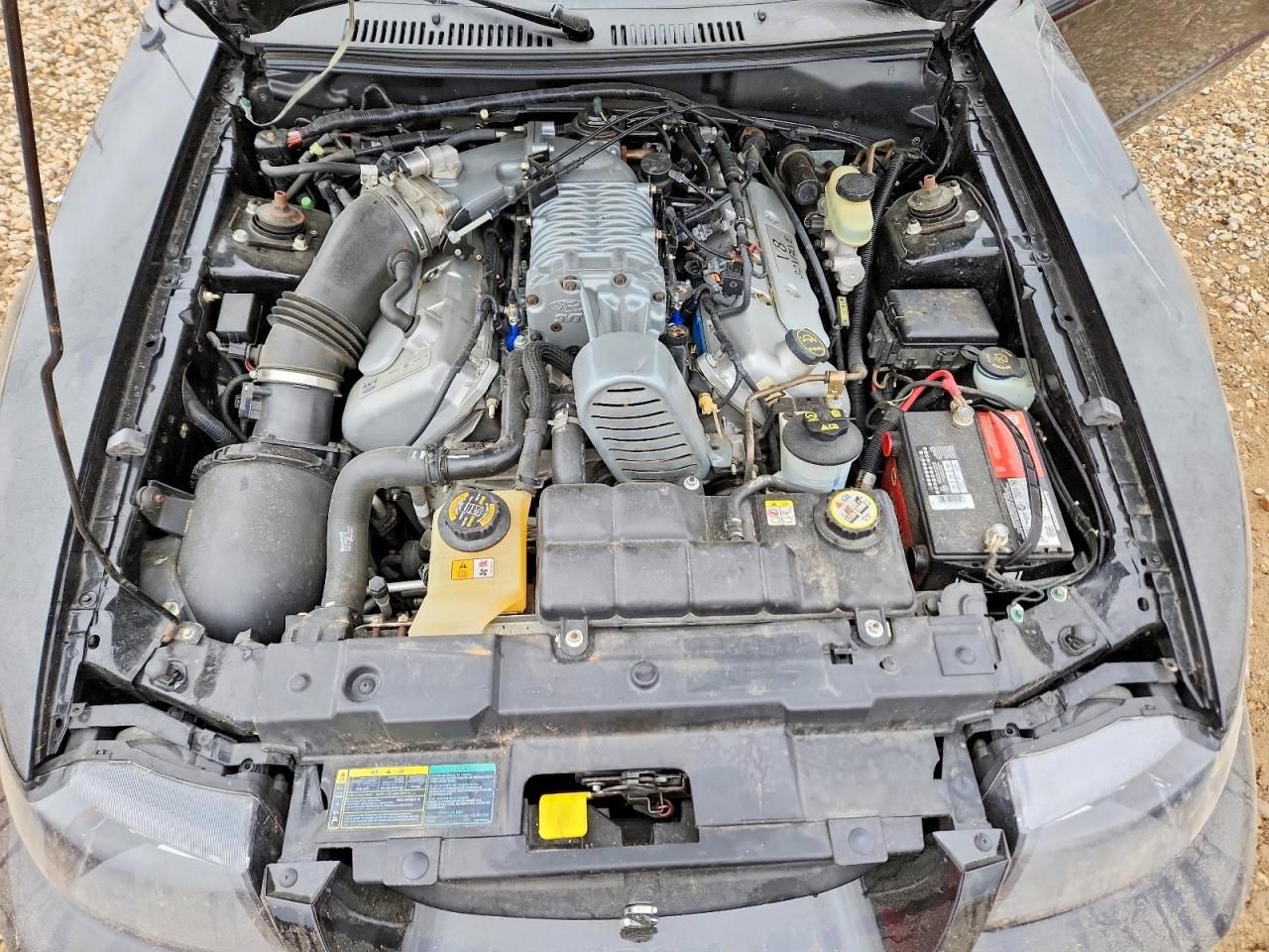 2003 Ford Mustang Cobra svt