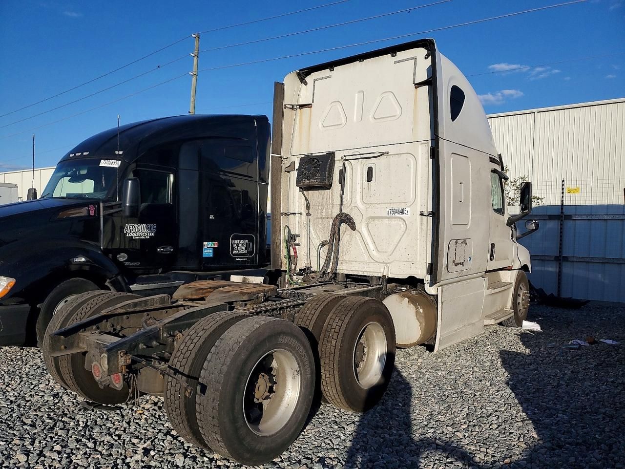 2020 Freightliner Cascadia 126 Semi Truck