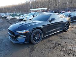 2019 Ford Mustang gt for sale in Baltimore, MD