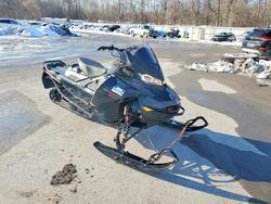 Salvage trucks for sale at Albany, NY auction: 2022 Other Renegad