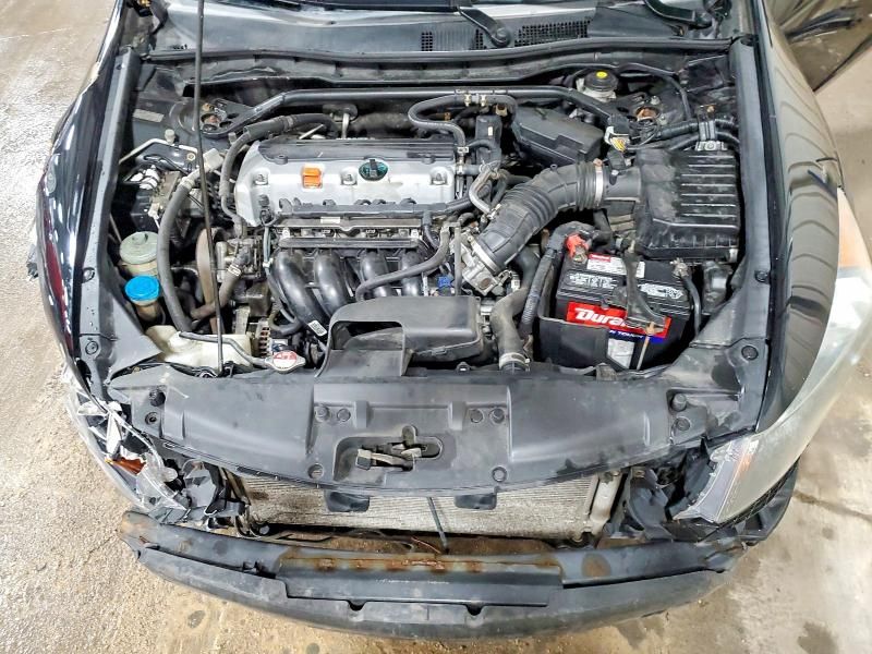 2010 Honda Accord exl