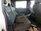 2025 Ford F150 STX