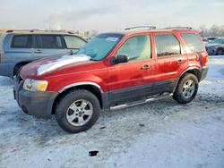Ford salvage cars for sale: 2006 Ford Escape xlt