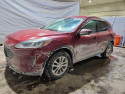 Ford salvage cars for sale: 2021 Ford Escape se