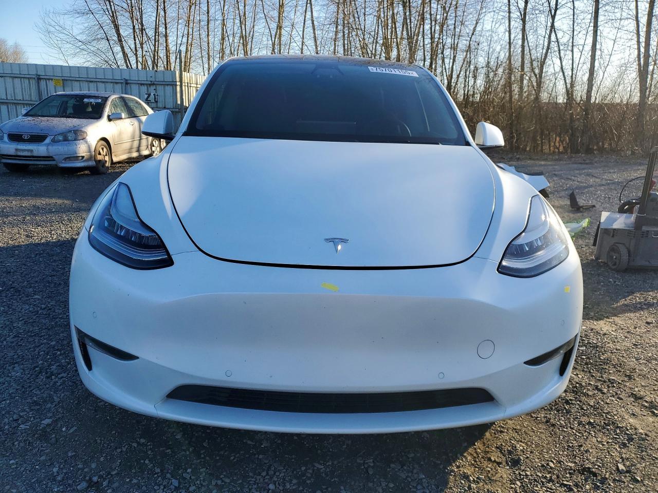 2020 Tesla Model y