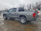 2005 Dodge Dakota Quad slt