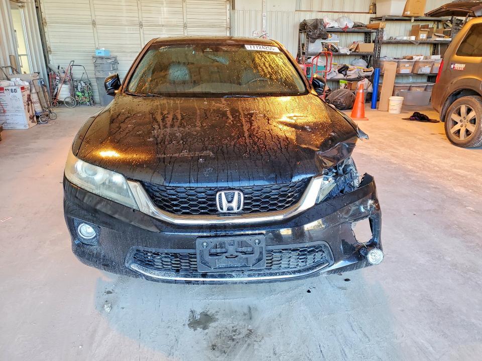 2013 Honda Accord exl