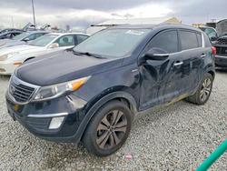 KIA salvage cars for sale: 2013 KIA Sportage ex