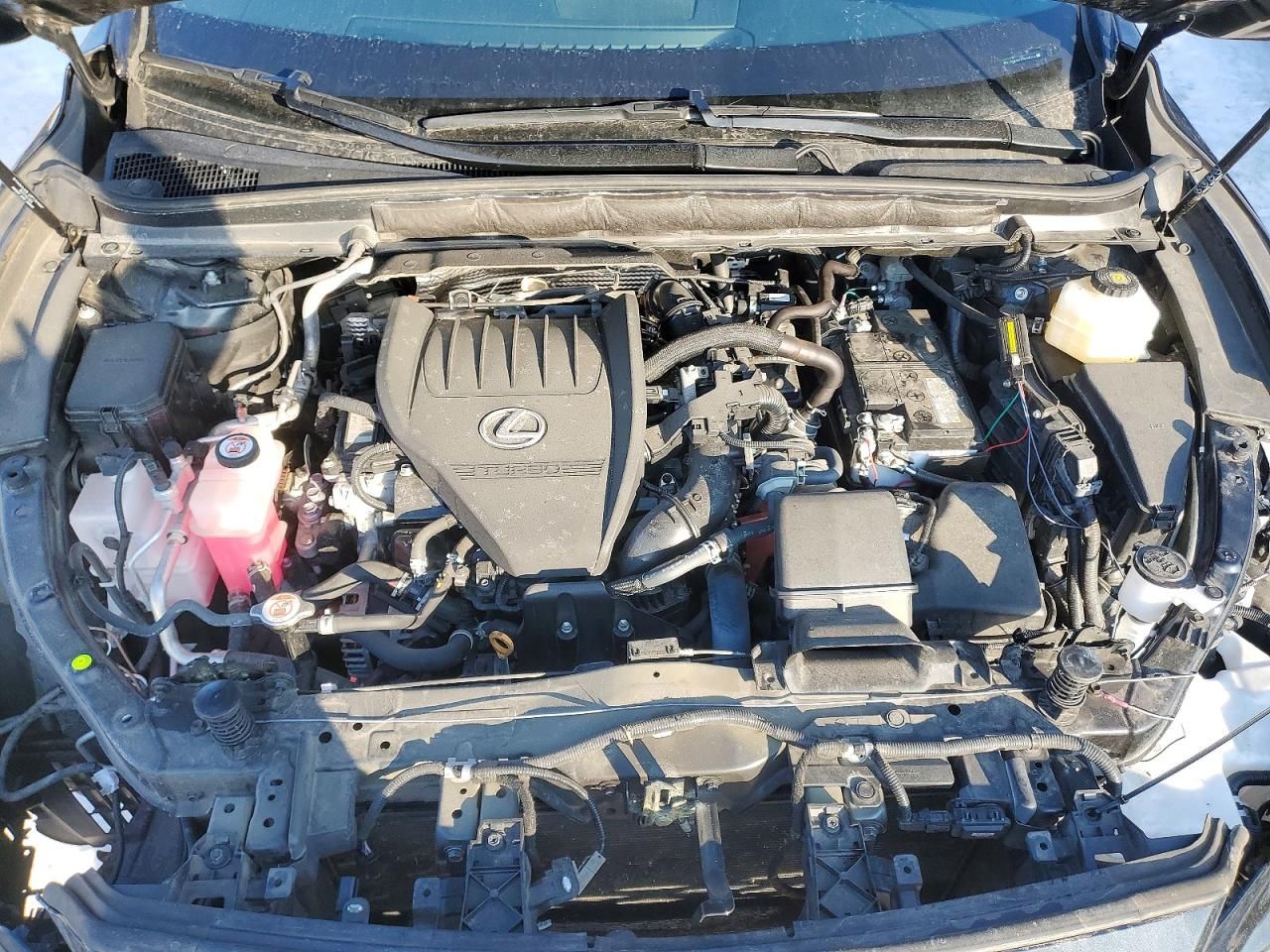 2024 Lexus Rx 350 Base