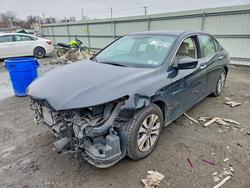 Honda salvage cars for sale: 2013 Honda Accord lx