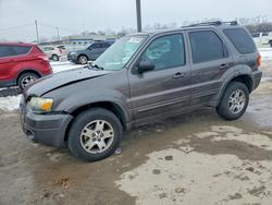 2005 Ford Escape Limited en venta en Louisville, KY