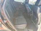 2023 Ford Escape st Line