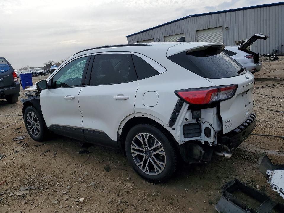 2020 Ford Escape sel