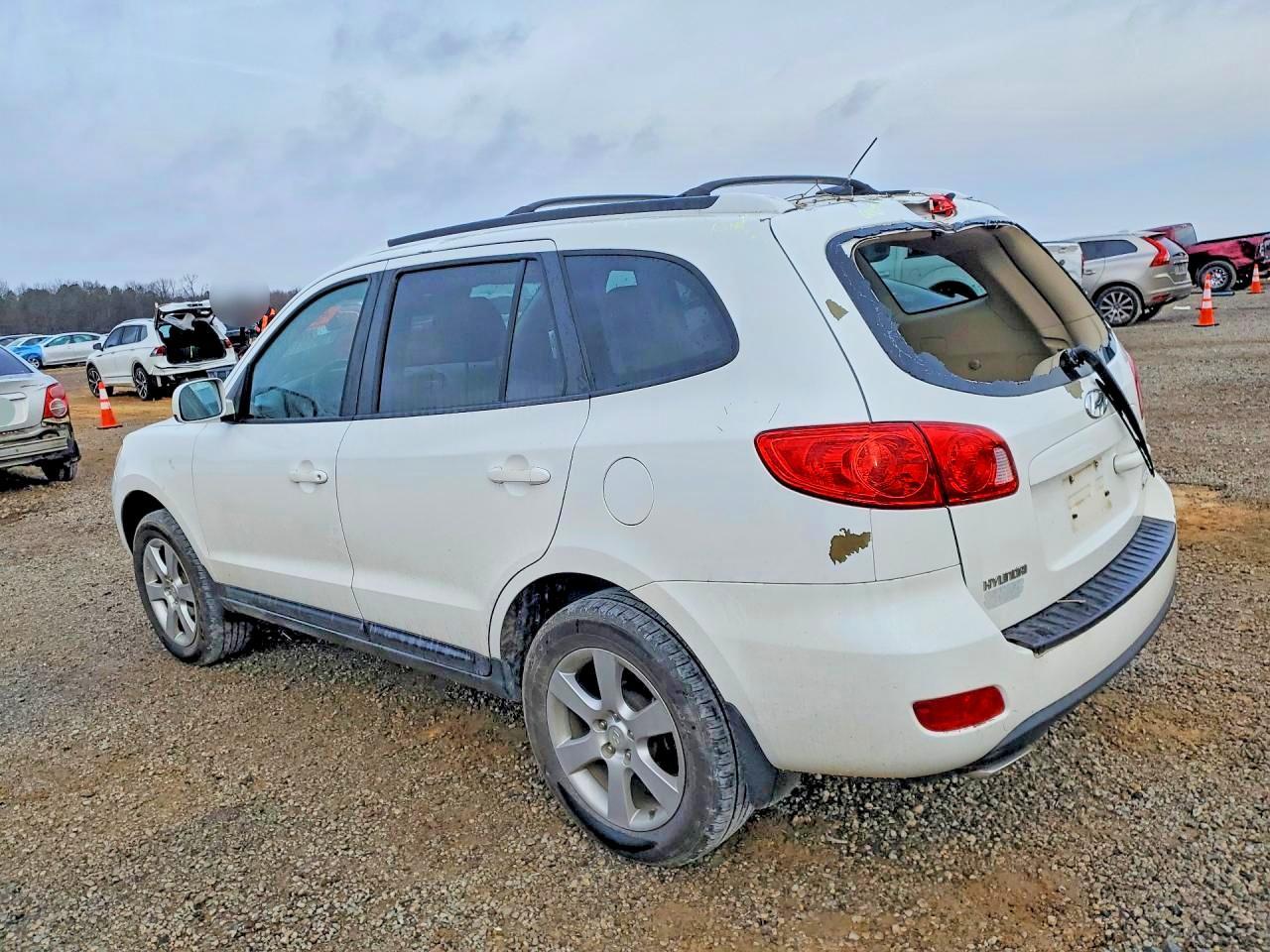 2009 Hyundai Santa fe se