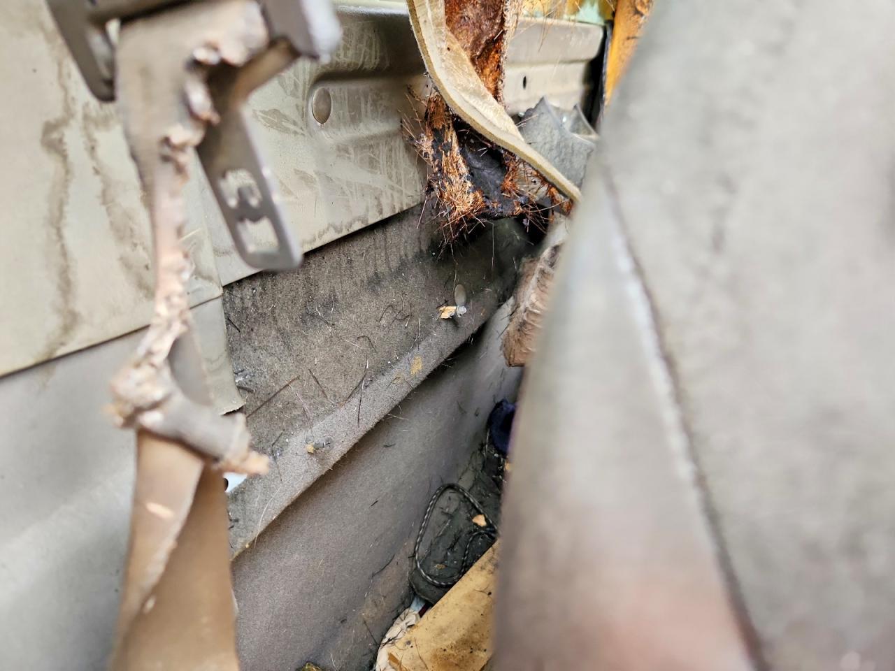 2000 Ford F150 SVT Lightning
