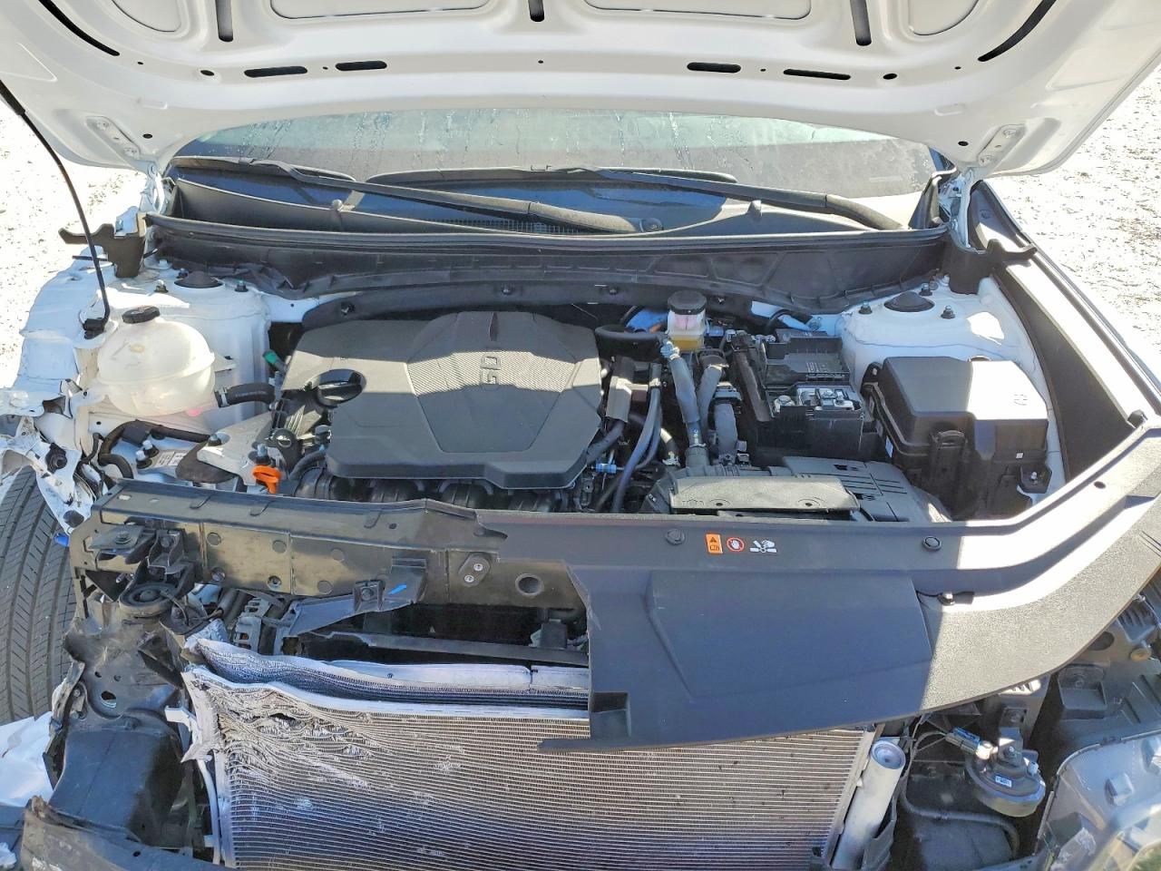 2025 Hyundai Santa Cruz SEL Activity