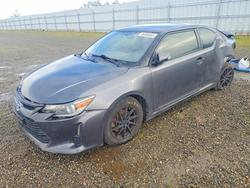 Scion TC salvage cars for sale: 2014 Scion TC