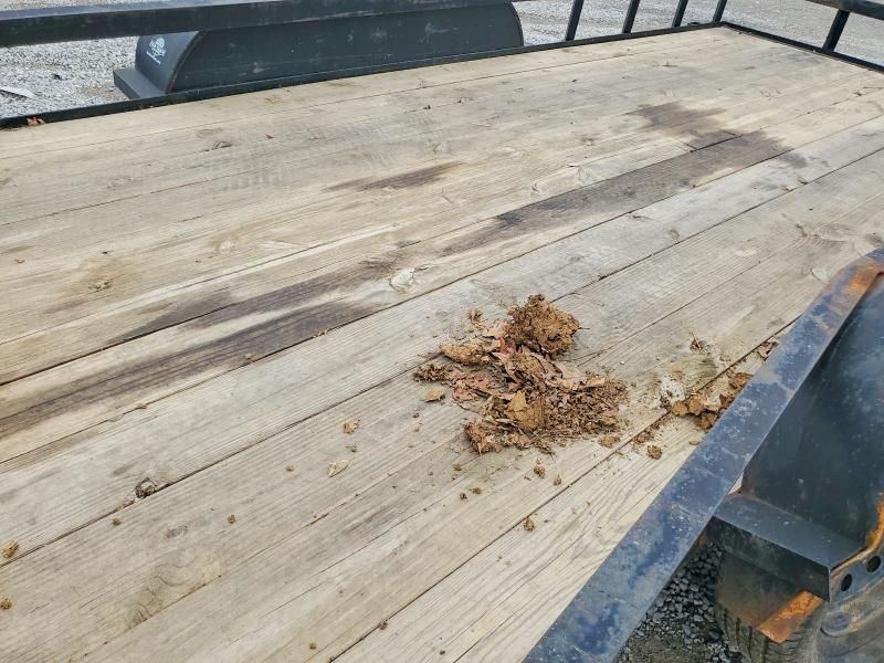 2022 Rsts Wood Base 6'10 X 16