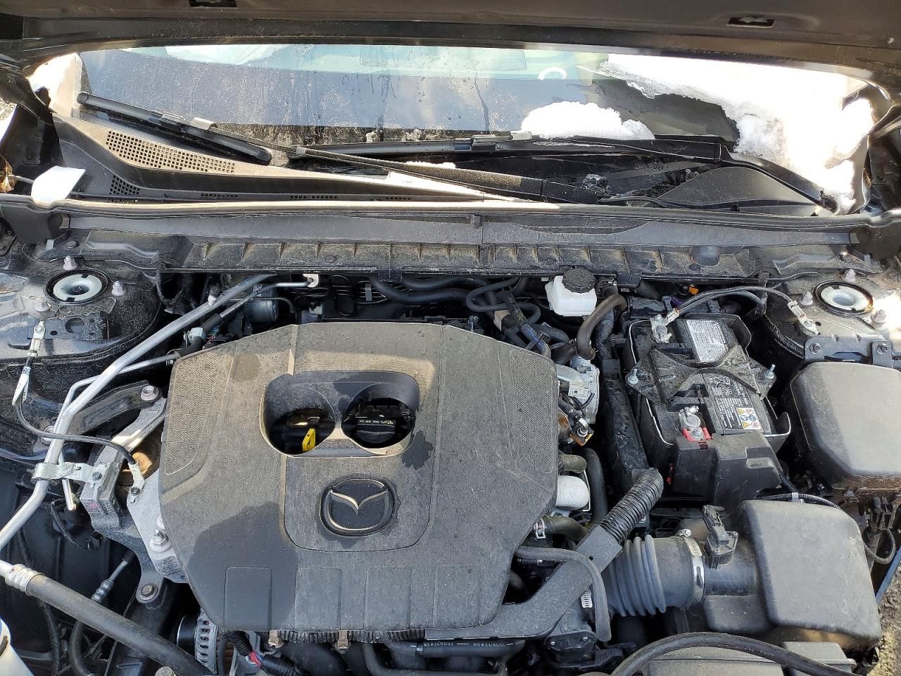 2025 Mazda Cx-50 Premium