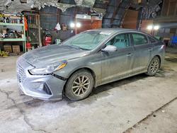 2019 Hyundai Sonata se en venta en Albany, NY