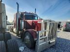 2012 Peterbilt 389 Semi Truck