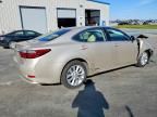 2013 Lexus Es 300h