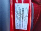 2025 Ford Escape st Line