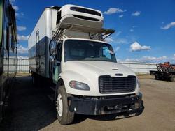 Freigliner 2024 Freightliner Busines salvage cars for sale: 2024 Freigliner 2024 Freightliner Business Class M2 Refrigerated B
