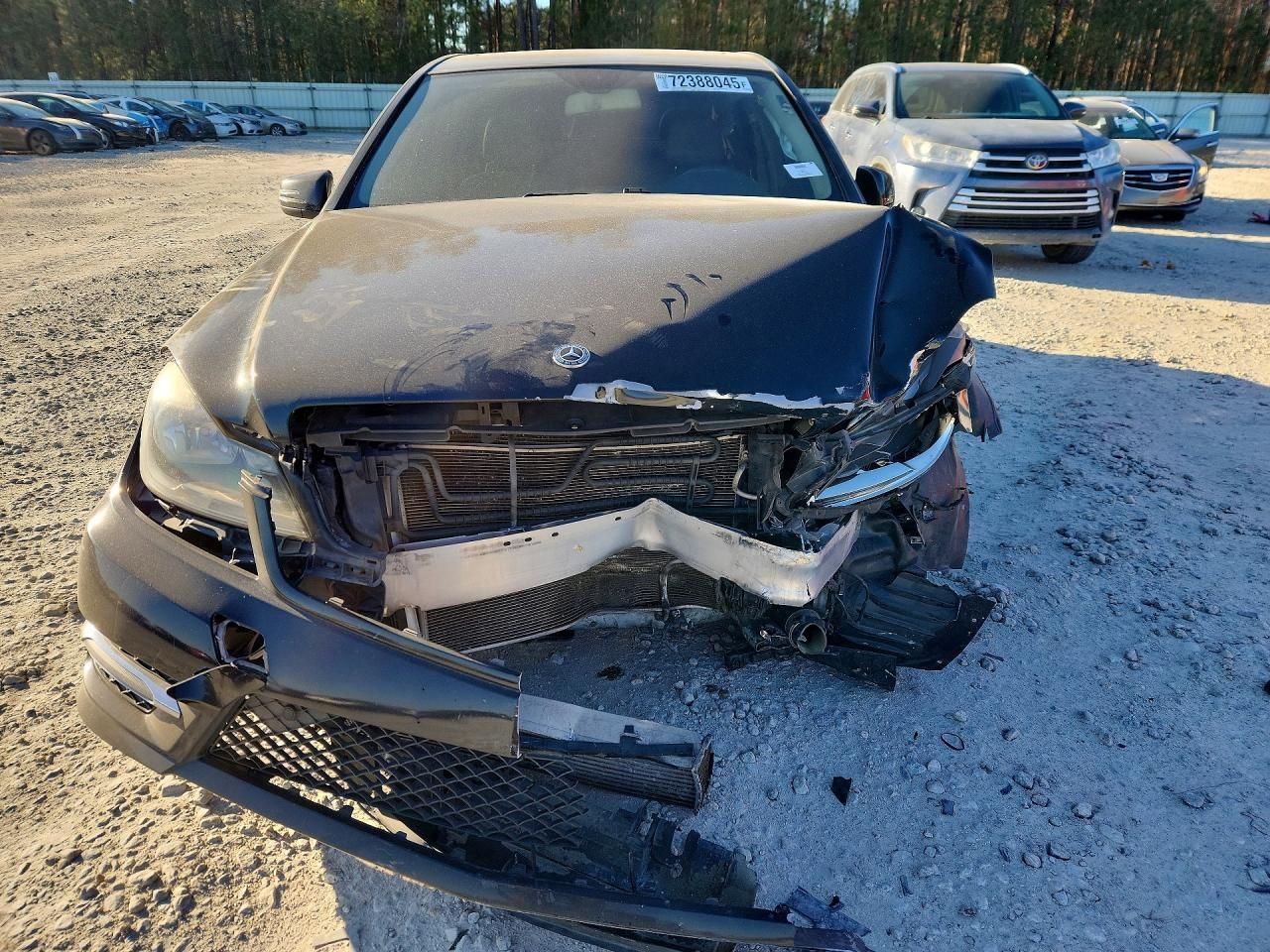 2014 Mercedes-Benz C 250