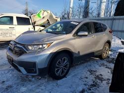 2020 Honda Cr-v exl en venta en Windsor, NJ