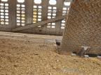 2014 Wilson Psdcl-402H Livestock Trailer
