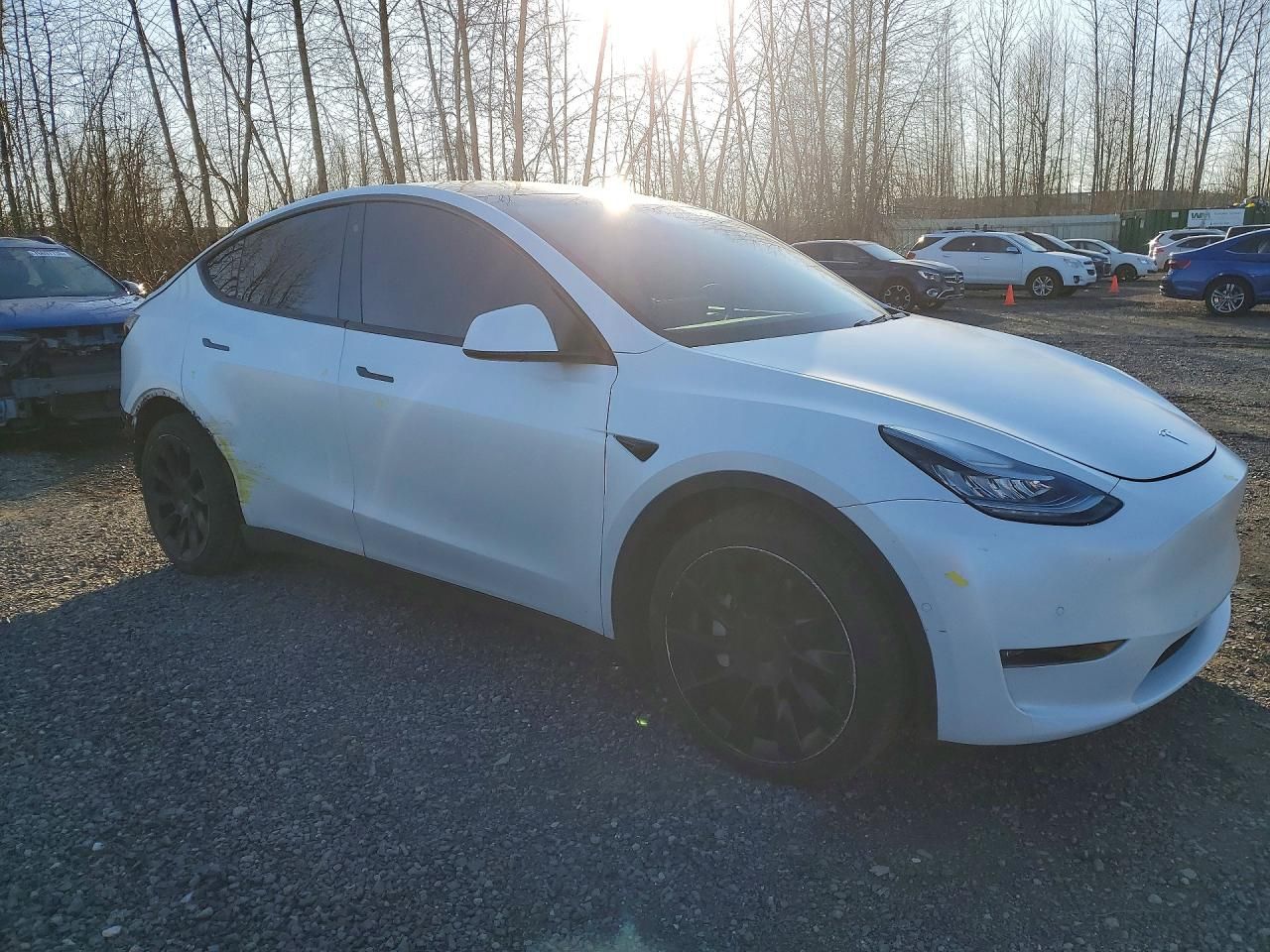 2020 Tesla Model y